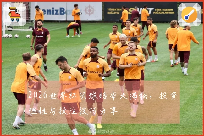 2026世界杯买球赔率大揭秘，投资理性与投注技巧分享