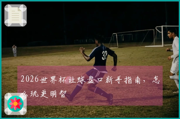 2026世界杯让球盘口新手指南，怎么玩更明智