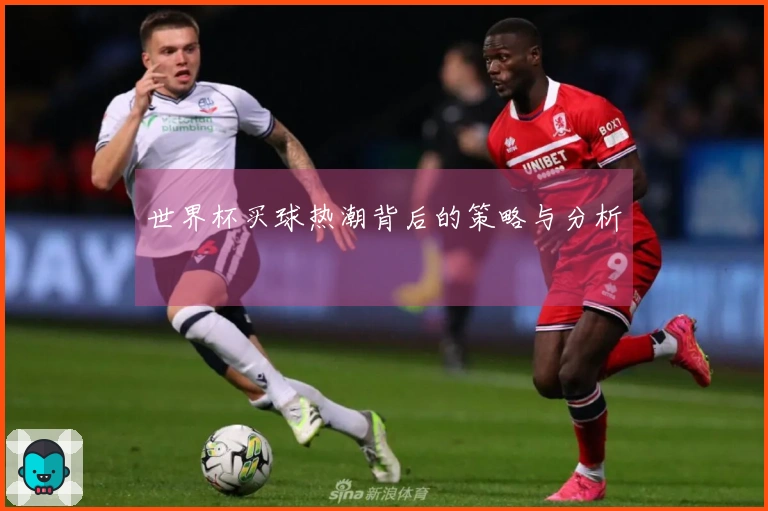 世界杯买球热潮背后的策略与分析