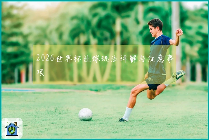 2026世界杯让球玩法详解与注意事项