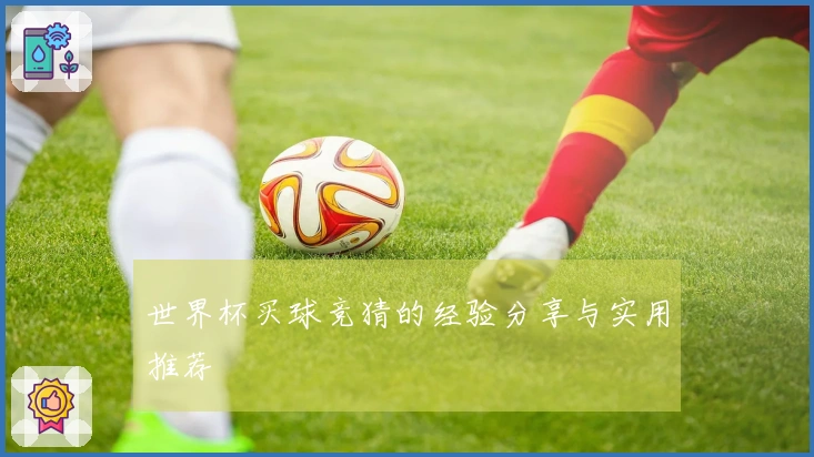 世界杯买球竞猜的经验分享与实用推荐