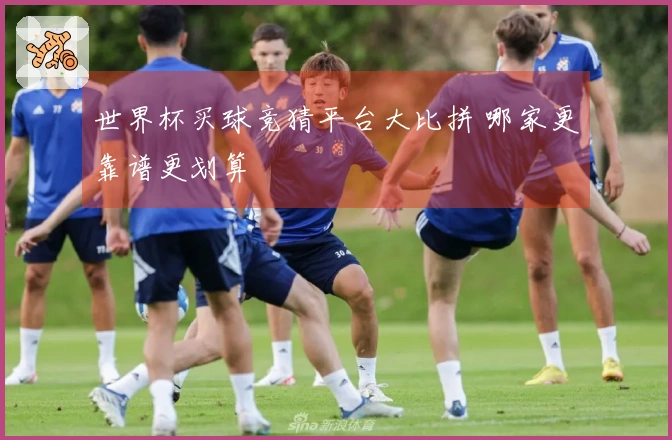 世界杯买球竞猜平台大比拼 哪家更靠谱更划算
