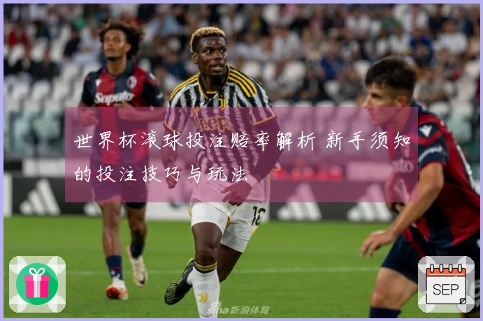 世界杯滚球投注赔率解析 新手须知的投注技巧与玩法